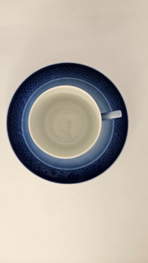 Cup & Saucer 1993 (collector's item), Royal Copenhagen