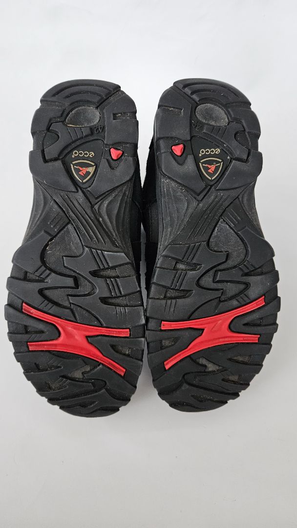 Goretex hiking shoes, Eur 42, Ecco