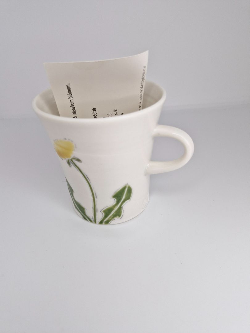 A Cup of Dandelion, Olof Erla Bjarnadóttir