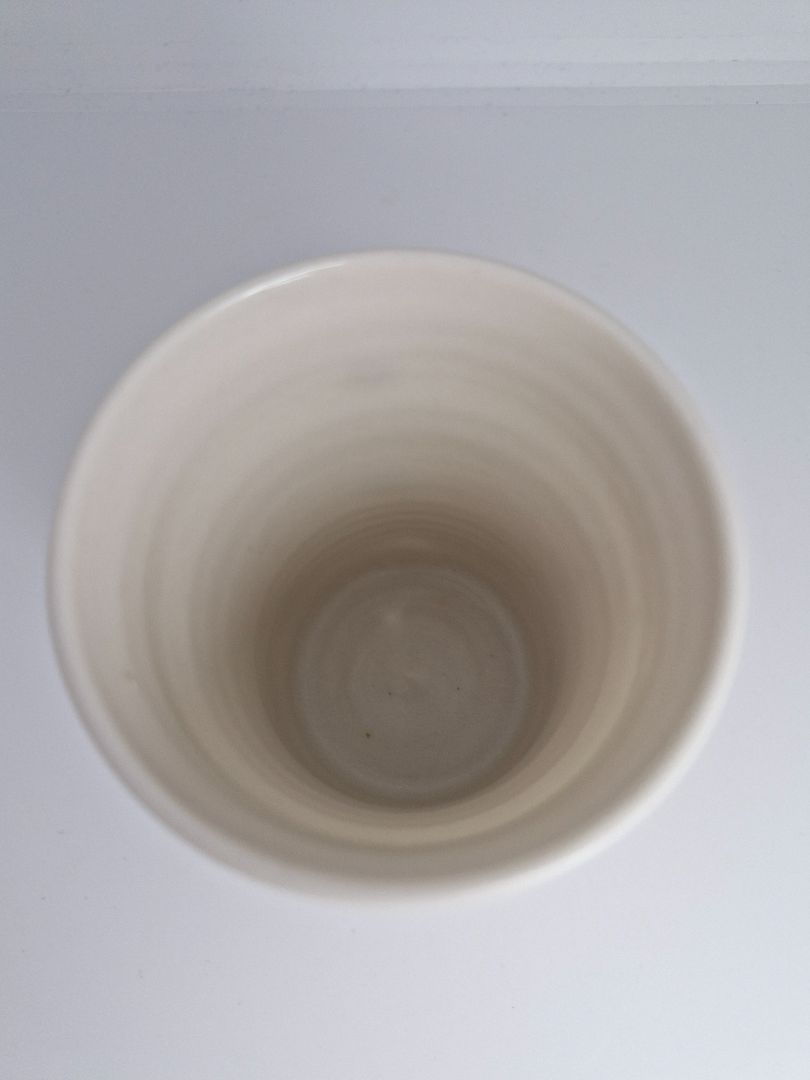 A Cup of White Sunflowers, Olof Erla Bjarnadóttir