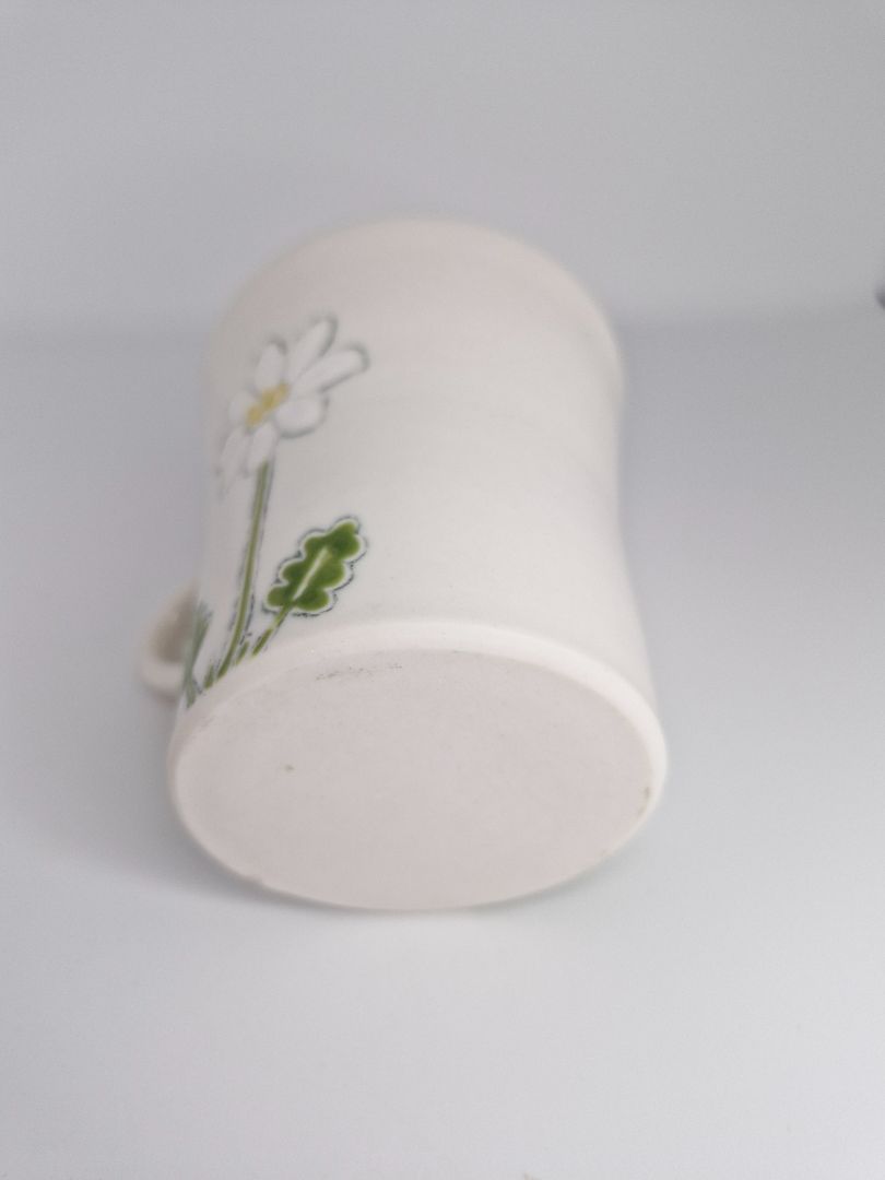 A Cup of White Sunflowers, Olof Erla Bjarnadóttir