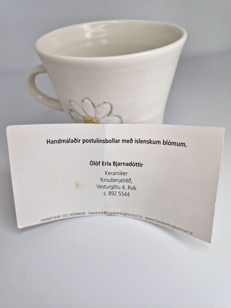 A Cup of White Sunflowers, Olof Erla Bjarnadóttir