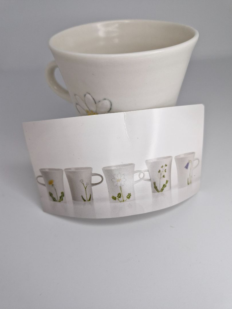 A Cup of White Sunflowers, Olof Erla Bjarnadóttir