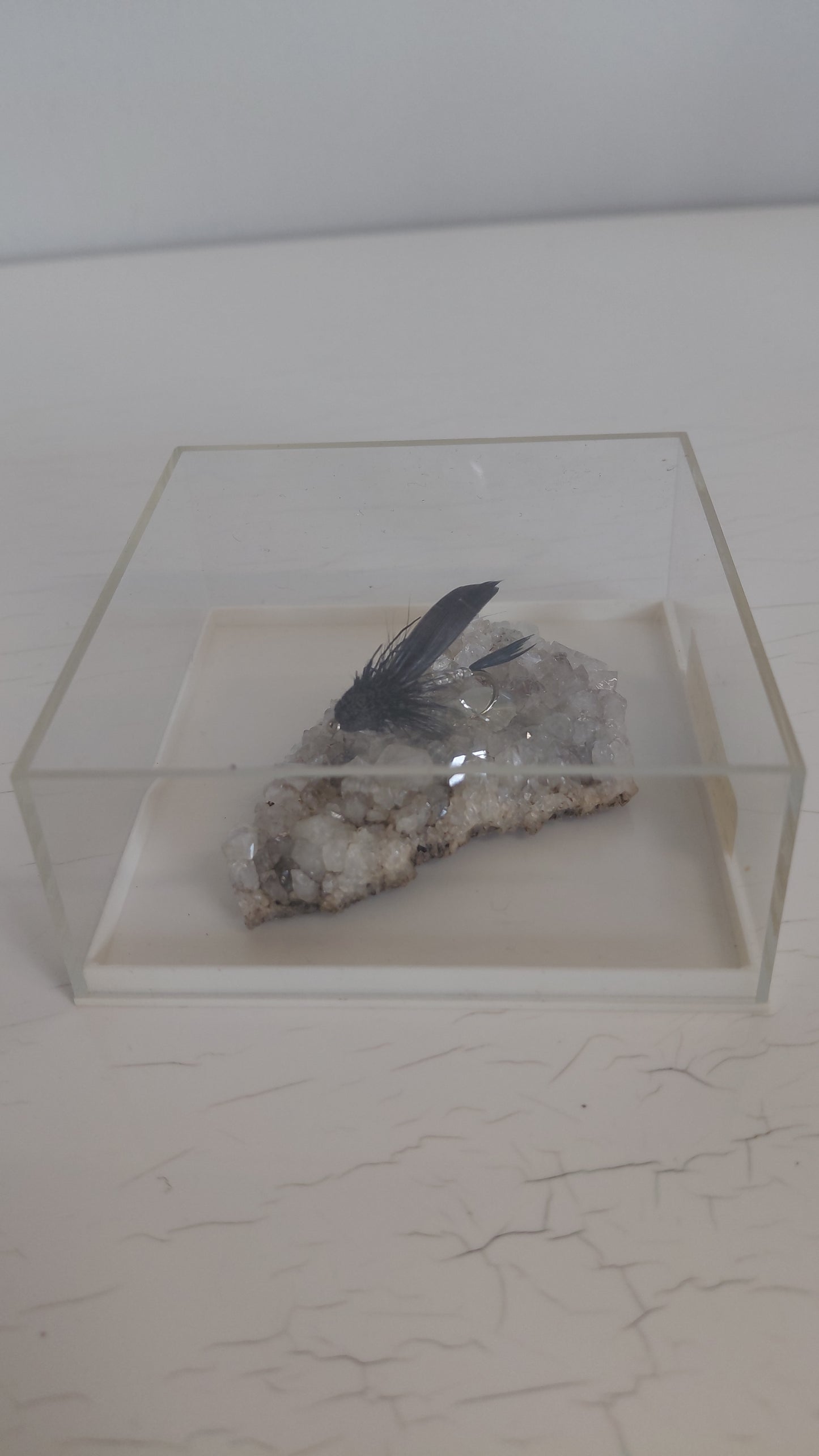 Black Mudda veiðifluga á bergkristöllum í innsigluðu boxi, Black Mudda