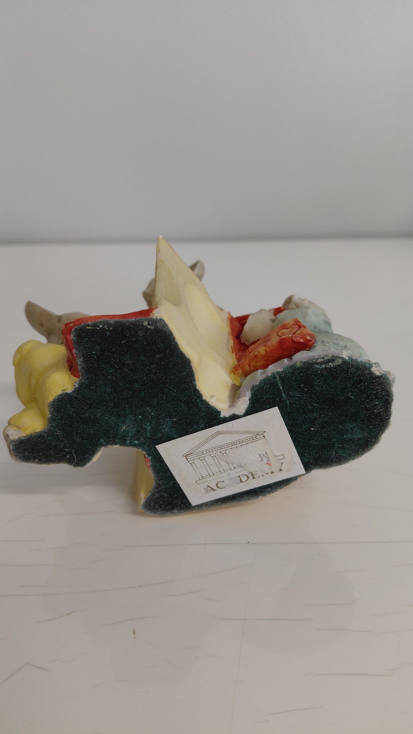 Músafjöskylda (1995-2000), The Academy Collection