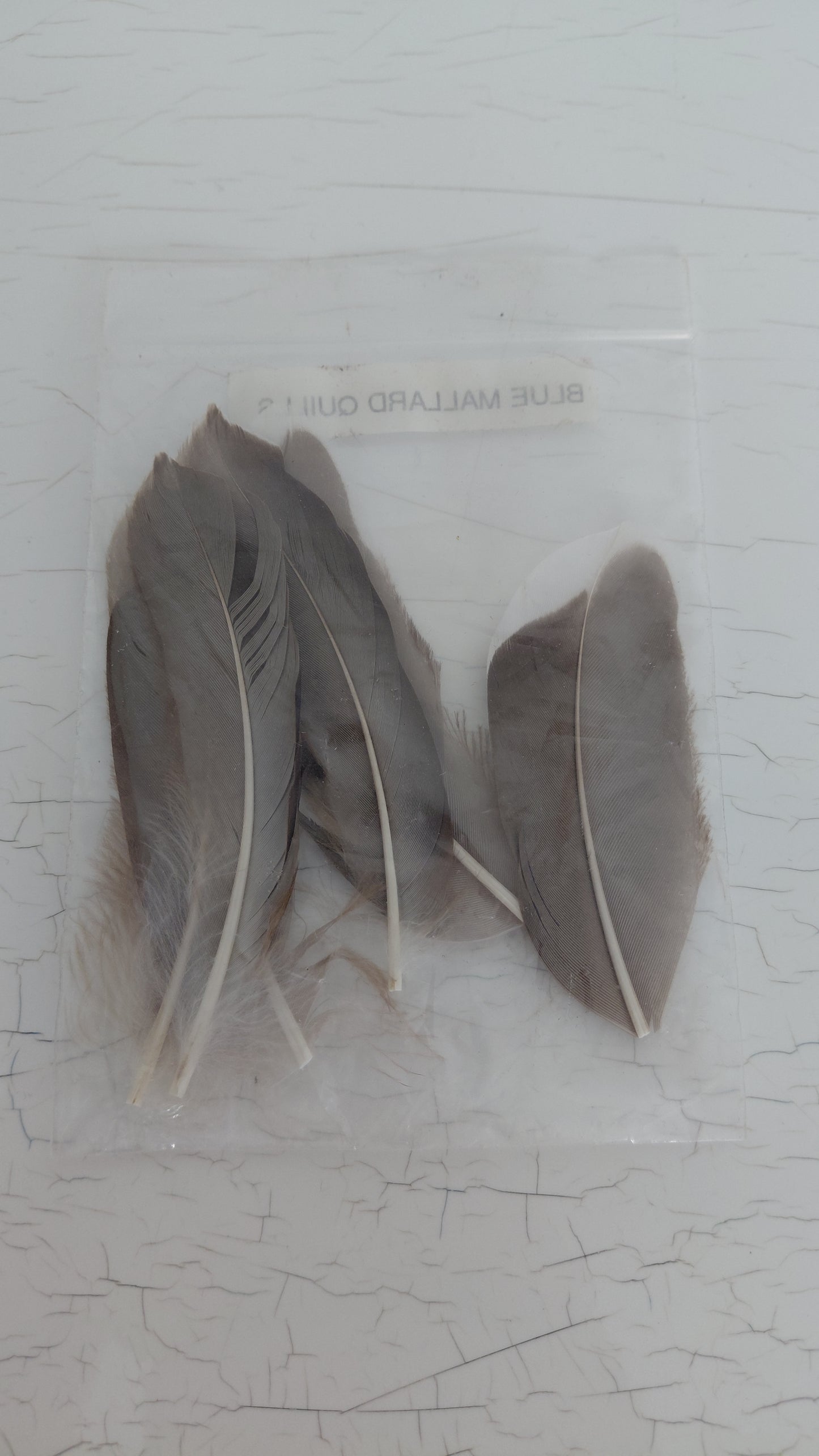 Fluguhnýtingar - fjaðrir "Blue Mallard Quills"