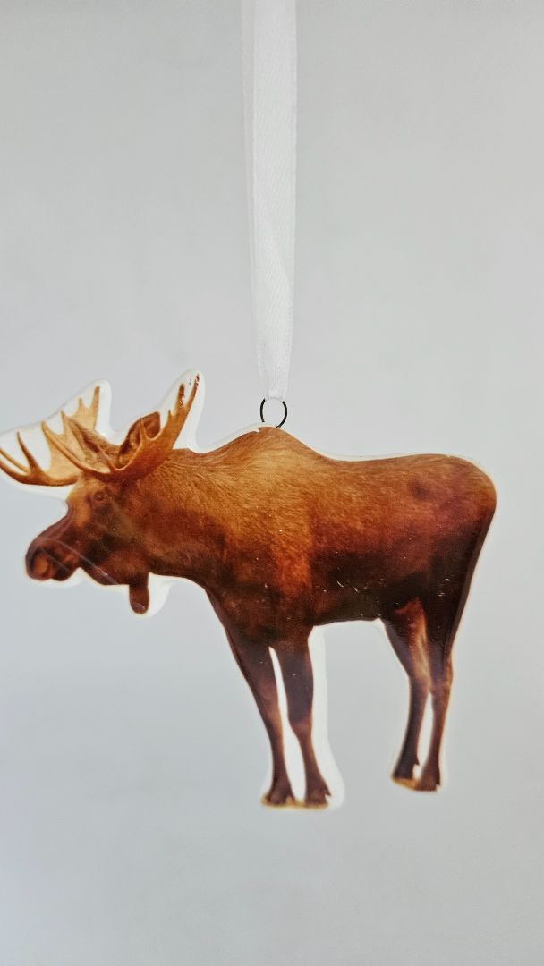 Hreindýra jólaskraut