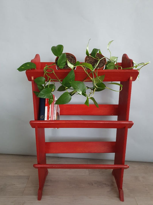 Vintage bookshelf (1970's)