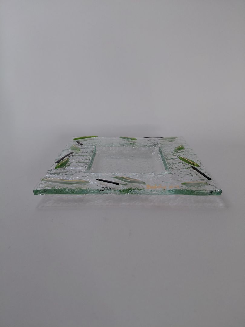 Glass plate, Biddy
