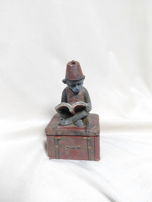 Lítið box með apa að lesa bók