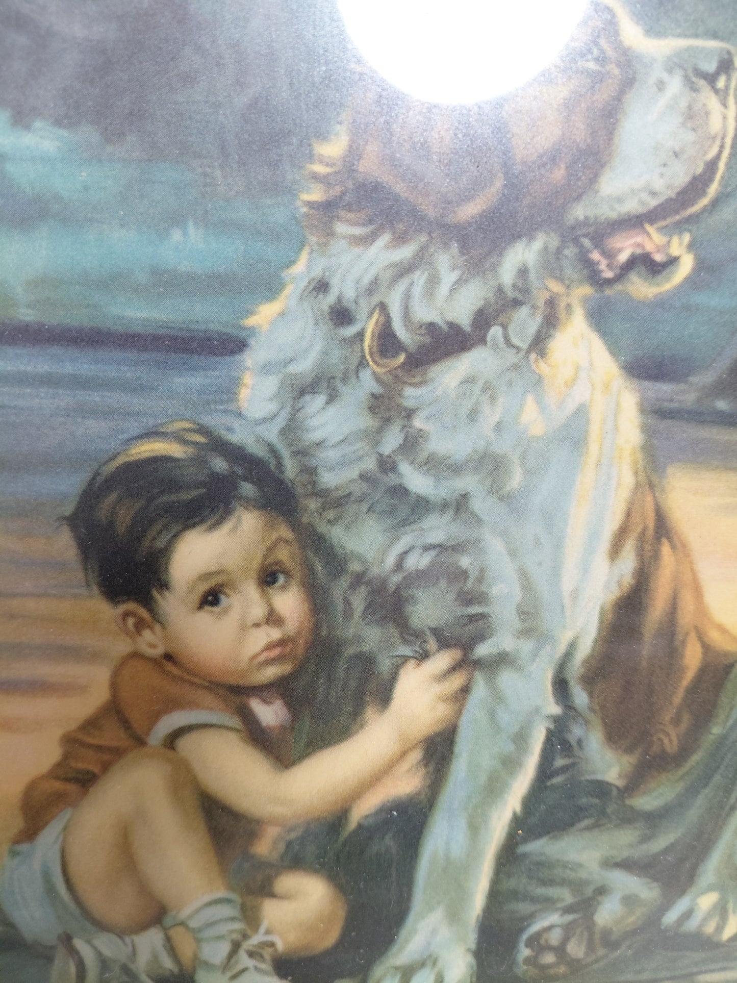 Vintage eftirprentun í ramma "Faithful Guardian" (1940-1950s), J. Adams