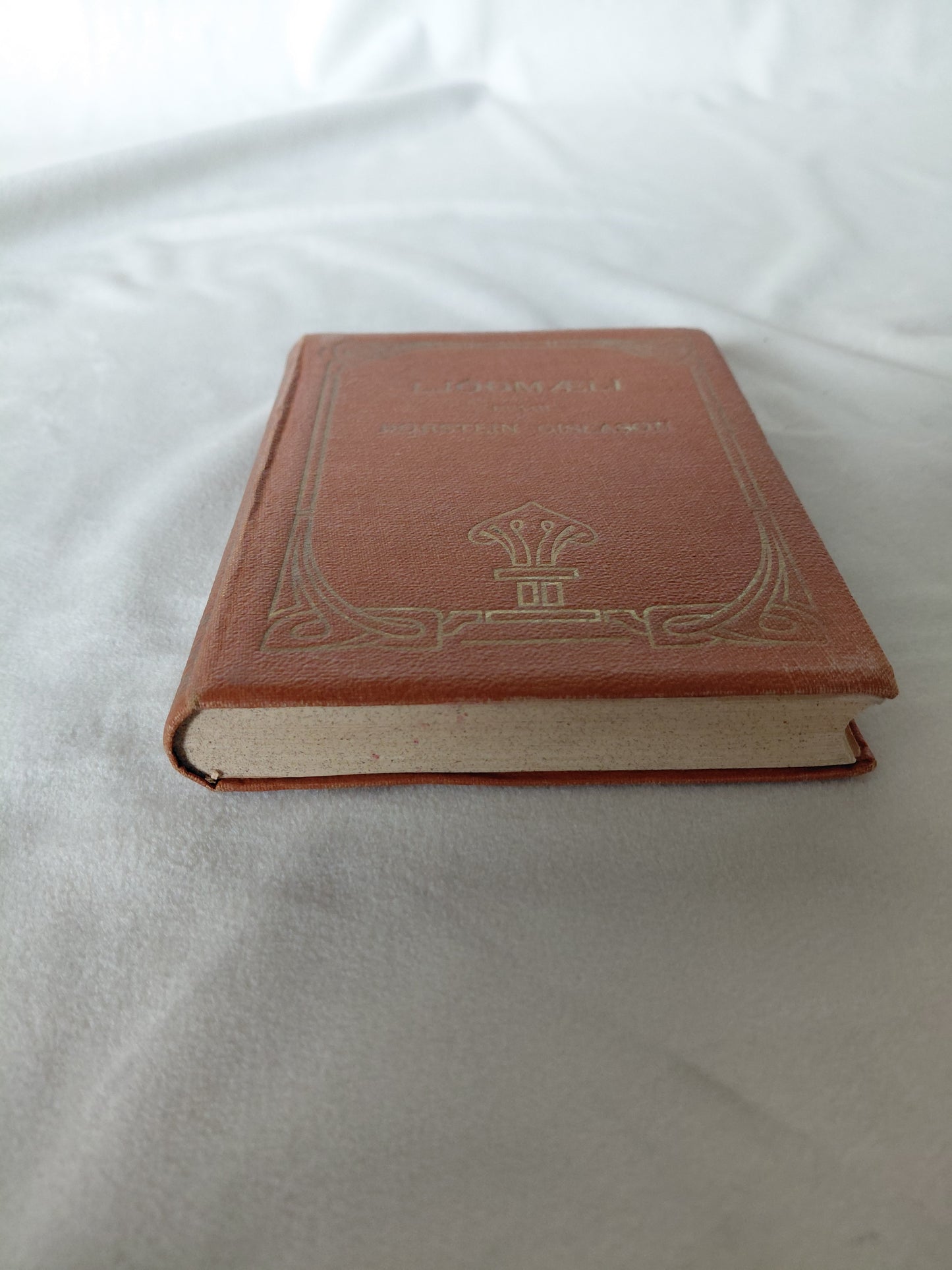 Ljóðmæli (1920) í harðkápu, Þorsteinn Gíslason