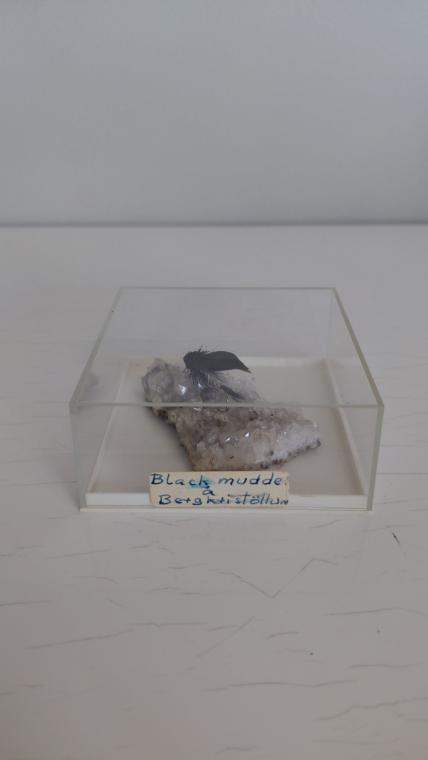 Black Mudda veiðifluga á bergkristöllum í innsigluðu boxi, Black Mudda