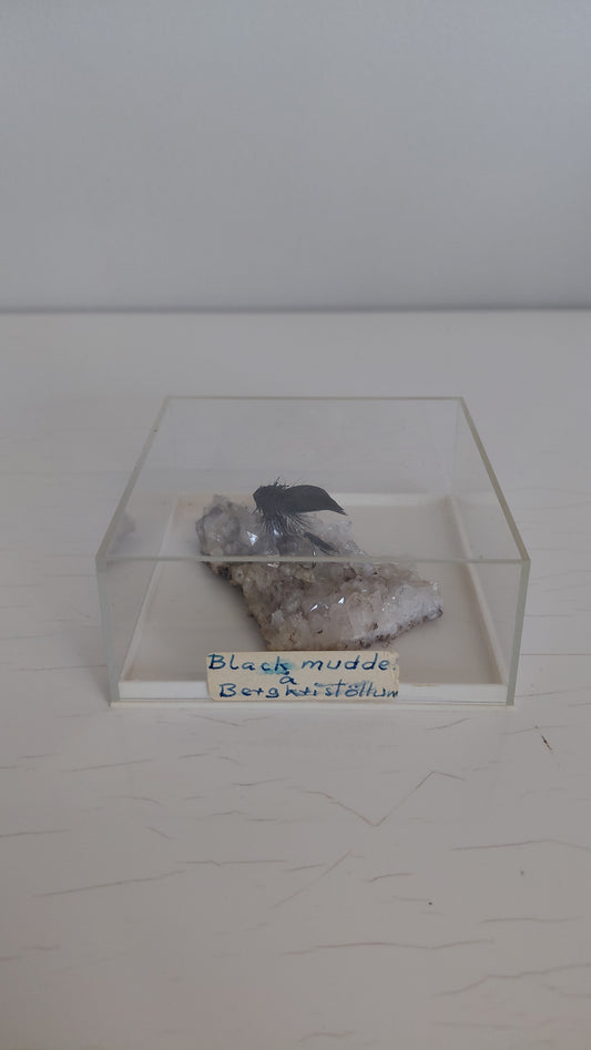 Black Mudda veiðifluga á bergkristöllum í innsigluðu boxi, Black Mudda