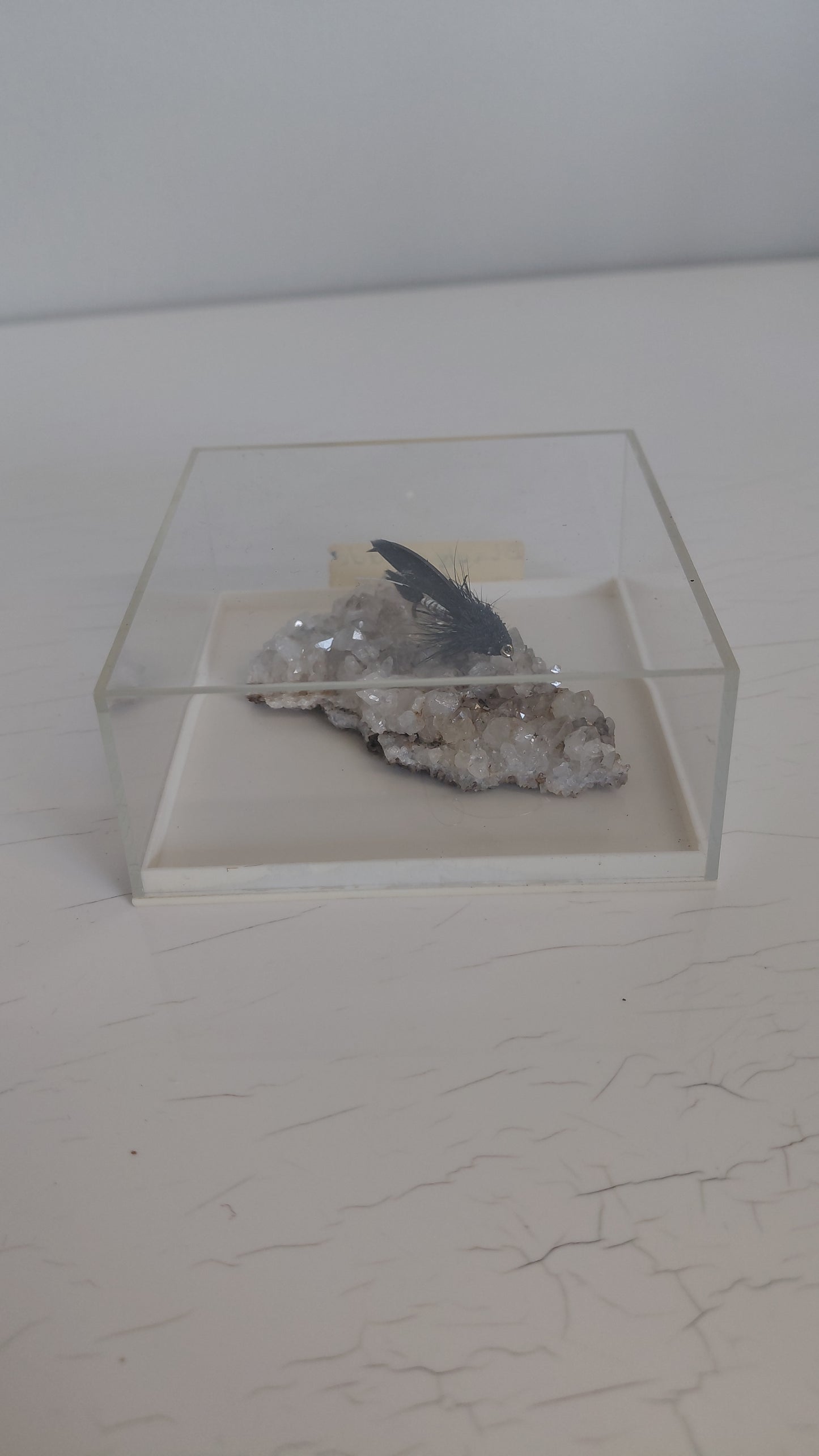 Black Mudda veiðifluga á bergkristöllum í innsigluðu boxi, Black Mudda