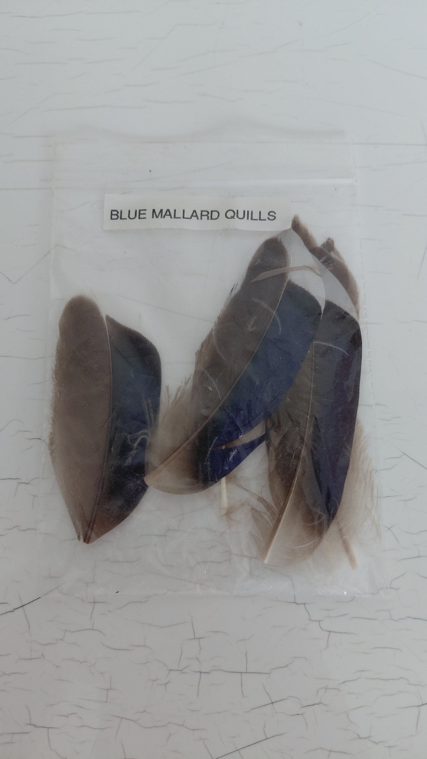 Fluguhnýtingar - fjaðrir "Blue Mallard Quills"