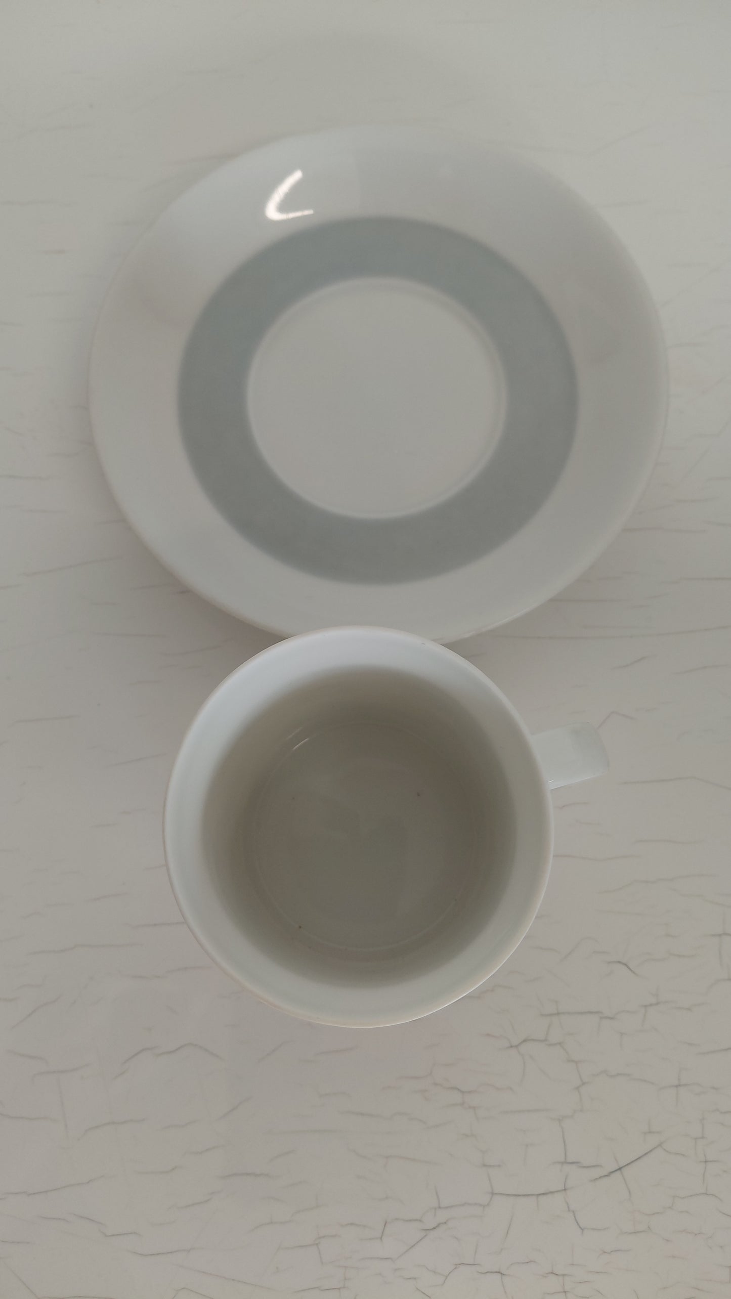 Kaffibollar með undirskál "studio-linie, Bouquet in Grey“ 1960-1970, Rosenthal