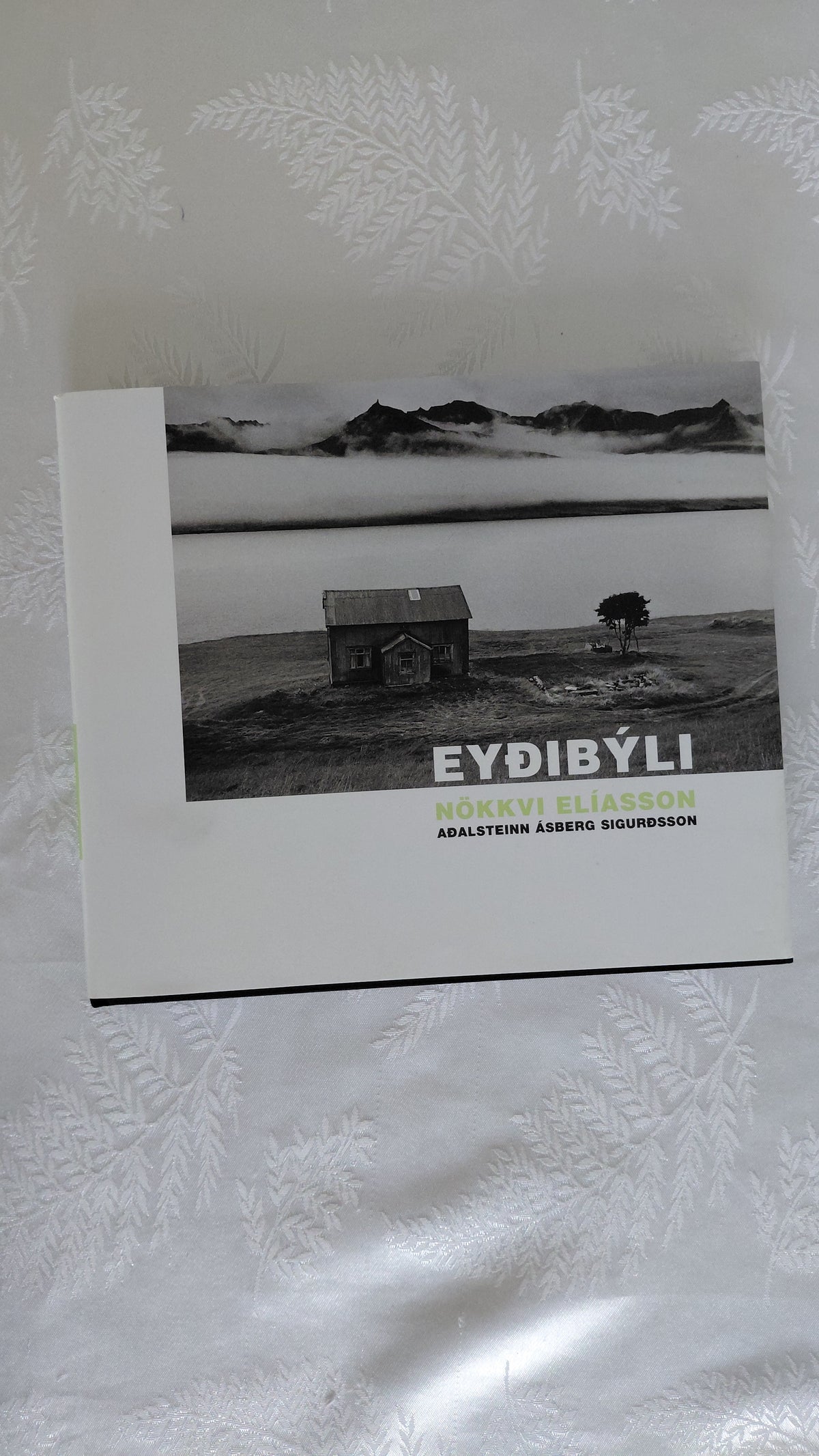 Eyðibýli (2004), Nökkvi Elíasson, Aðalsteinn Ásberg Sigurðsson