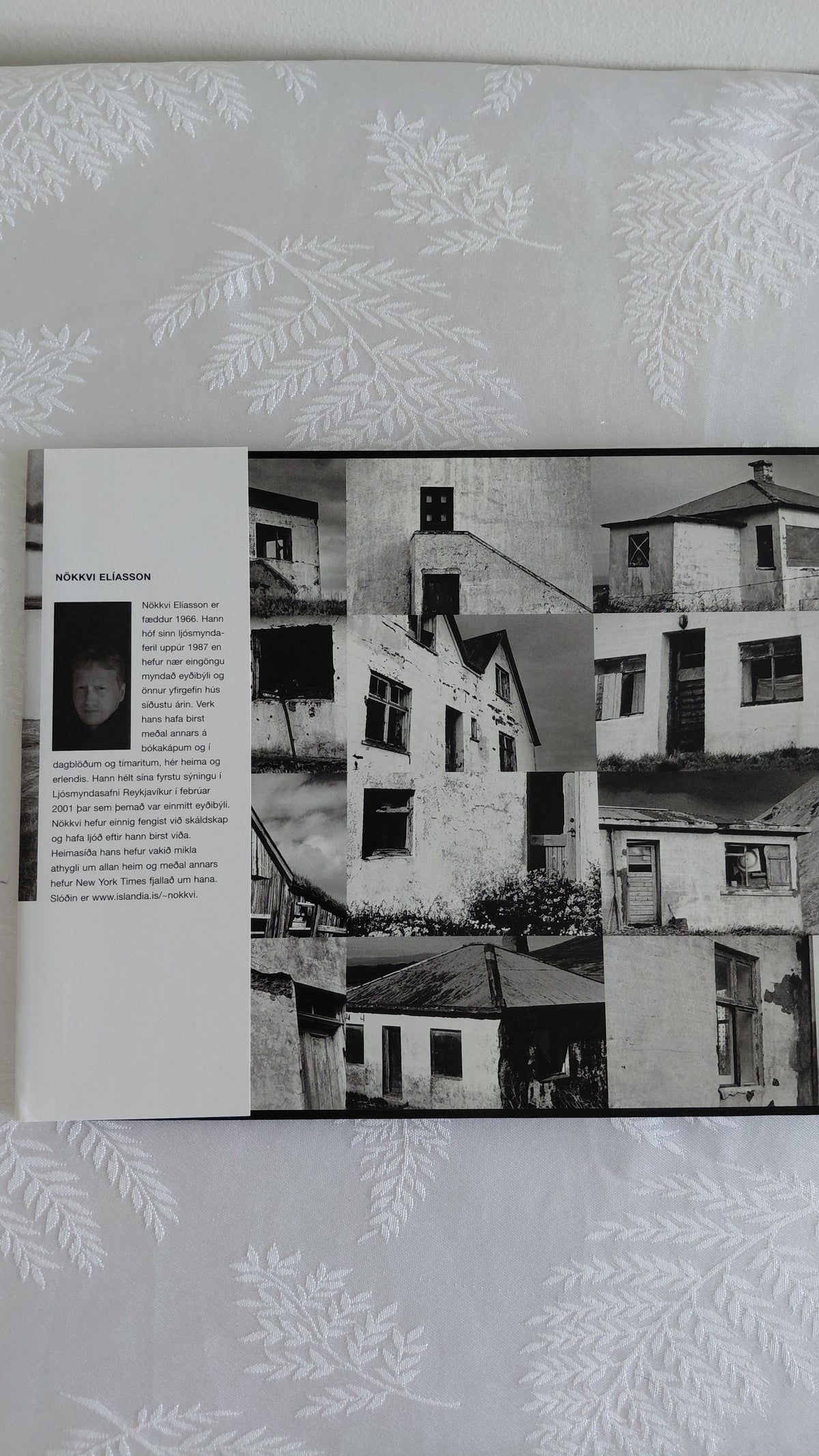 Eyðibýli (2004), Nökkvi Elíasson, Aðalsteinn Ásberg Sigurðsson