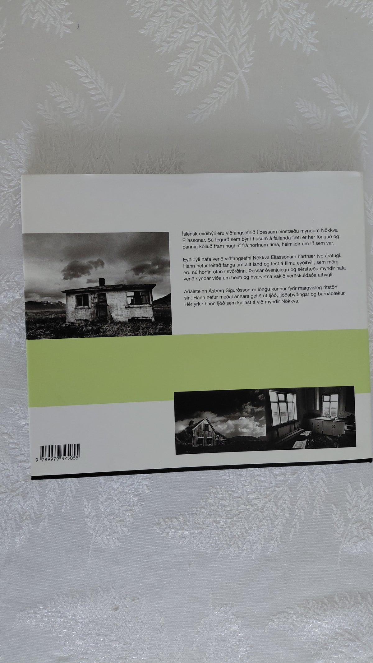 Eyðibýli (2004), Nökkvi Elíasson, Aðalsteinn Ásberg Sigurðsson