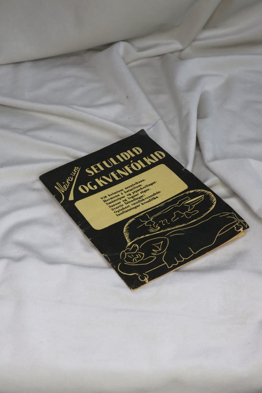 Meira um setuliðið og kvennfólkið (1941), Steindór Sigurðsson